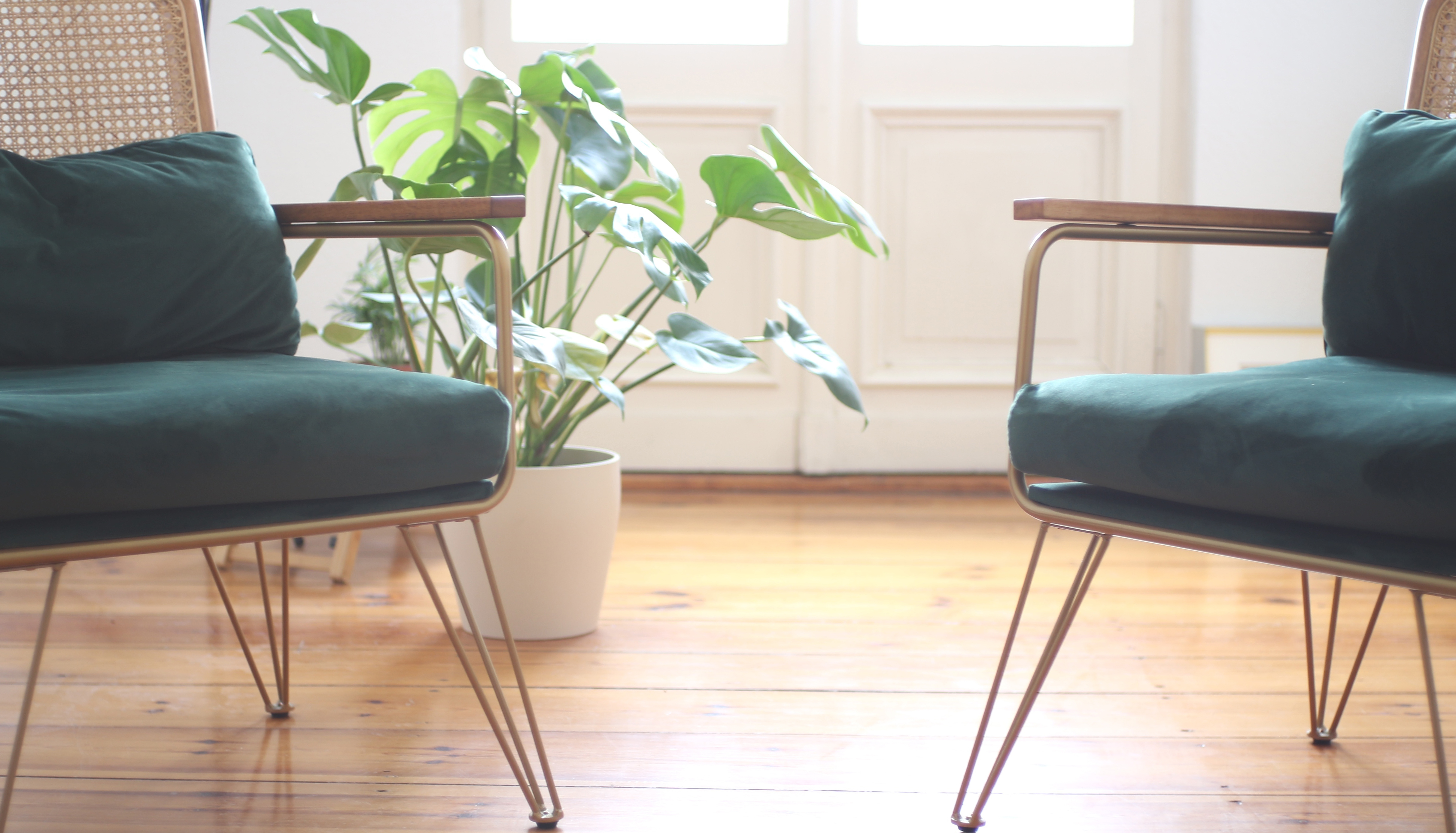 Psychotherapeutische Praxis Friedrichshain – Zwei Sessel in warmem Altbau-Ambiente mit Monstera-Pflanze